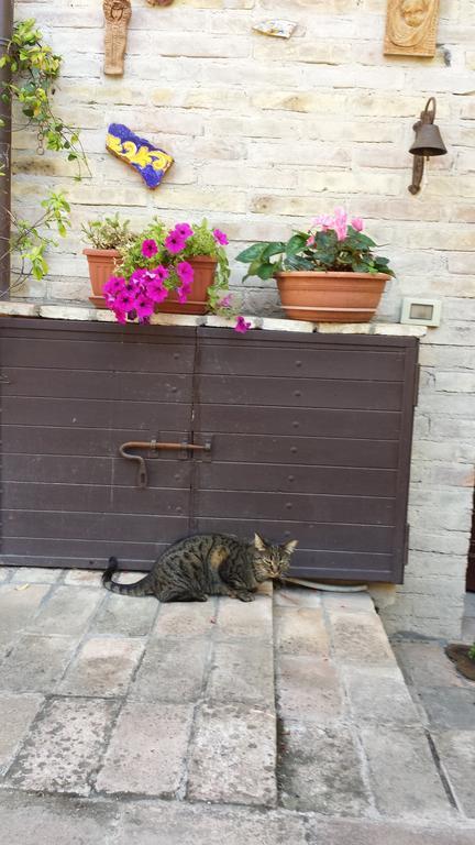 B&B La Casuccia Di Assisi Exterior photo